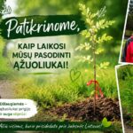Aplankėme mažuosius projekto „Milijonas medžių Lietuvai“ ąžuoliukus
