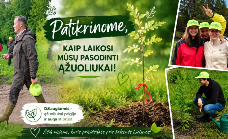 Aplankėme mažuosius projekto „Milijonas medžių Lietuvai“ ąžuoliukus