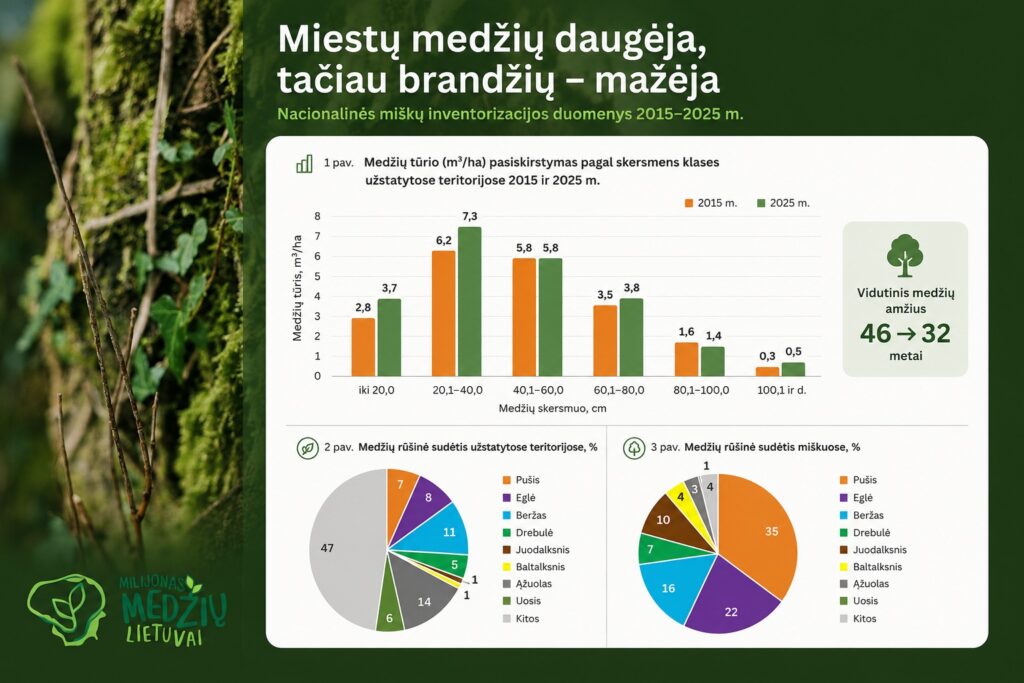 Ką apie Lietuvos miestų medžius atskleidžia Nacionalinė miškų inventorizacija?